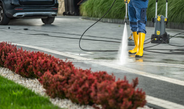 Best Driveway Pressure Washing  in Rtez, CO